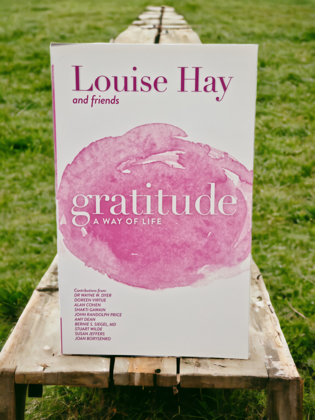 Gratitude by Louise Hay