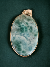 Load image into Gallery viewer, Larimer Pendant
