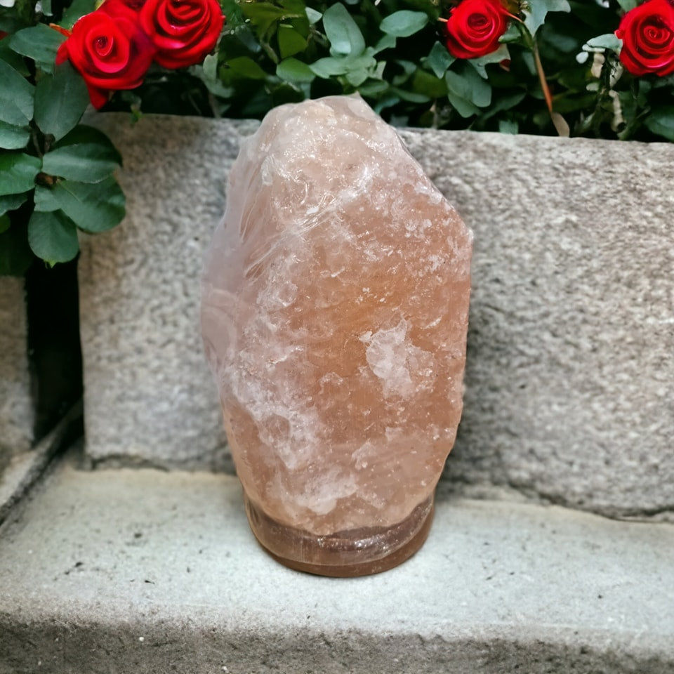 Himalayan Salt Lamp