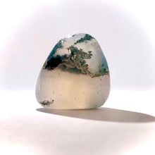 Load image into Gallery viewer, Tree Agate - Tumbled
