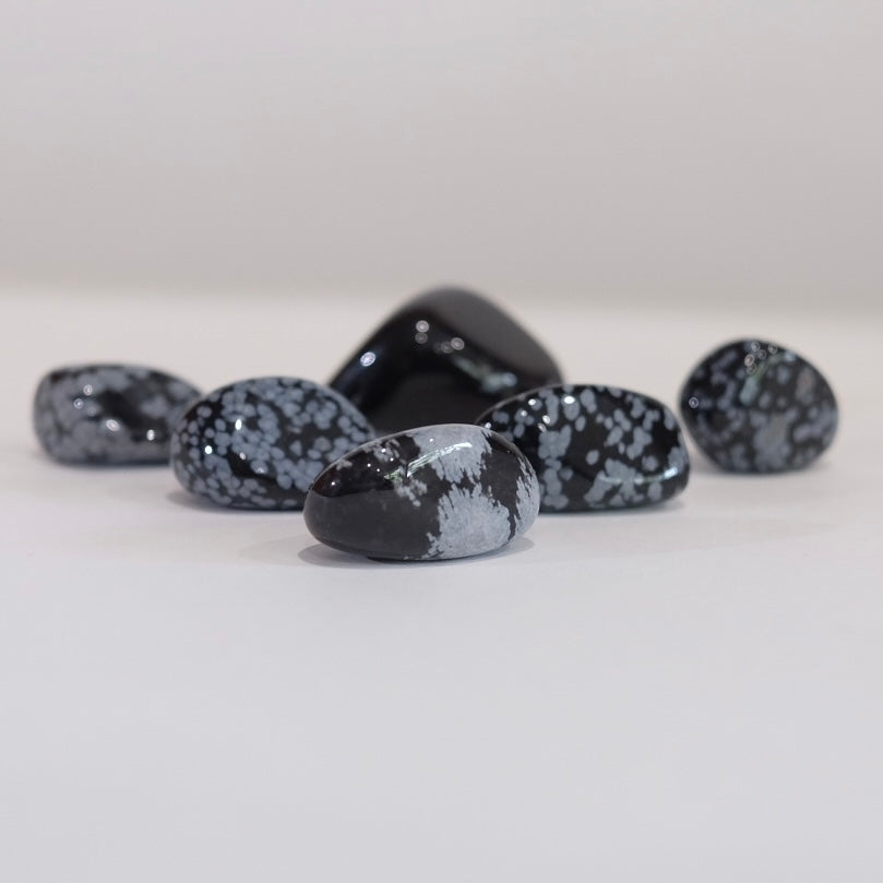 Snow Flake Obsidian