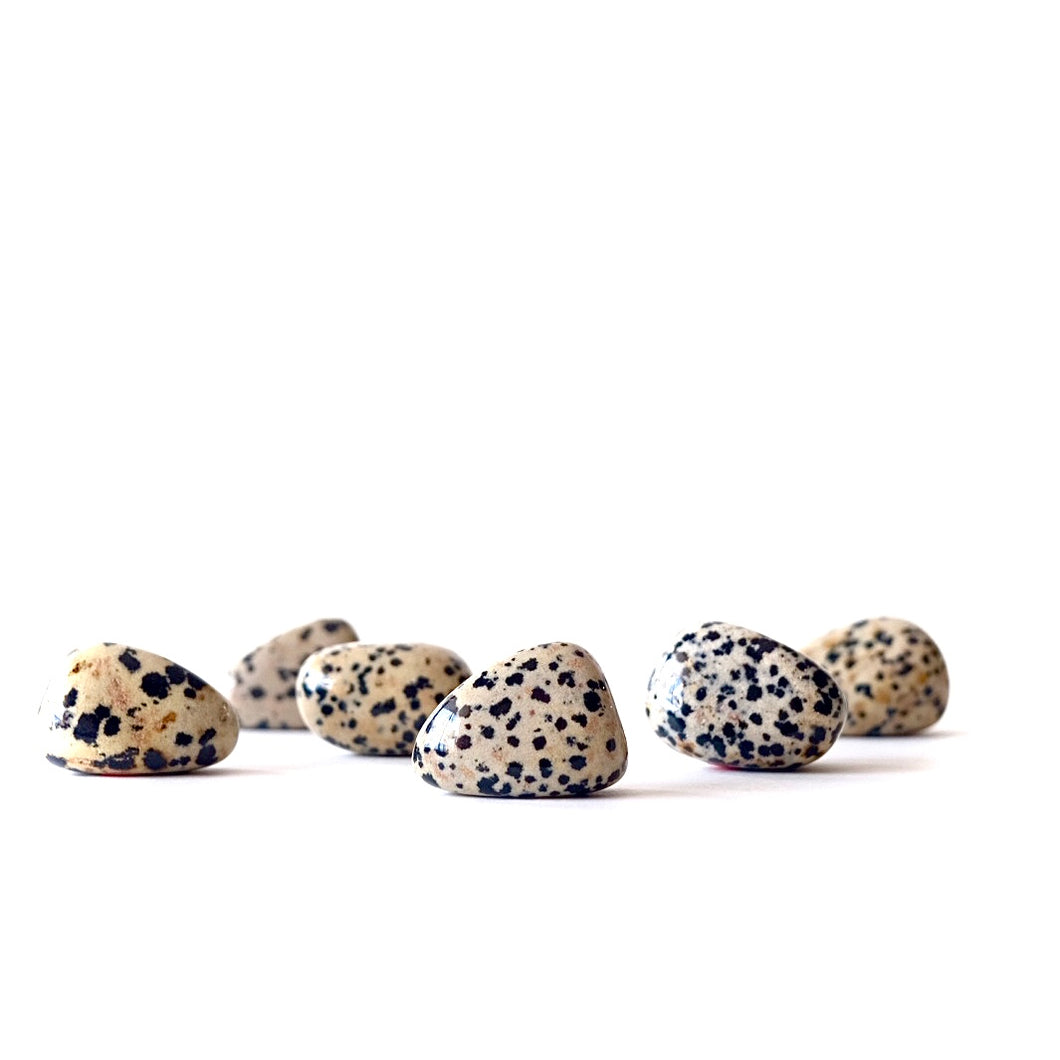 Dalmatian Jasper Stone - Tumbled