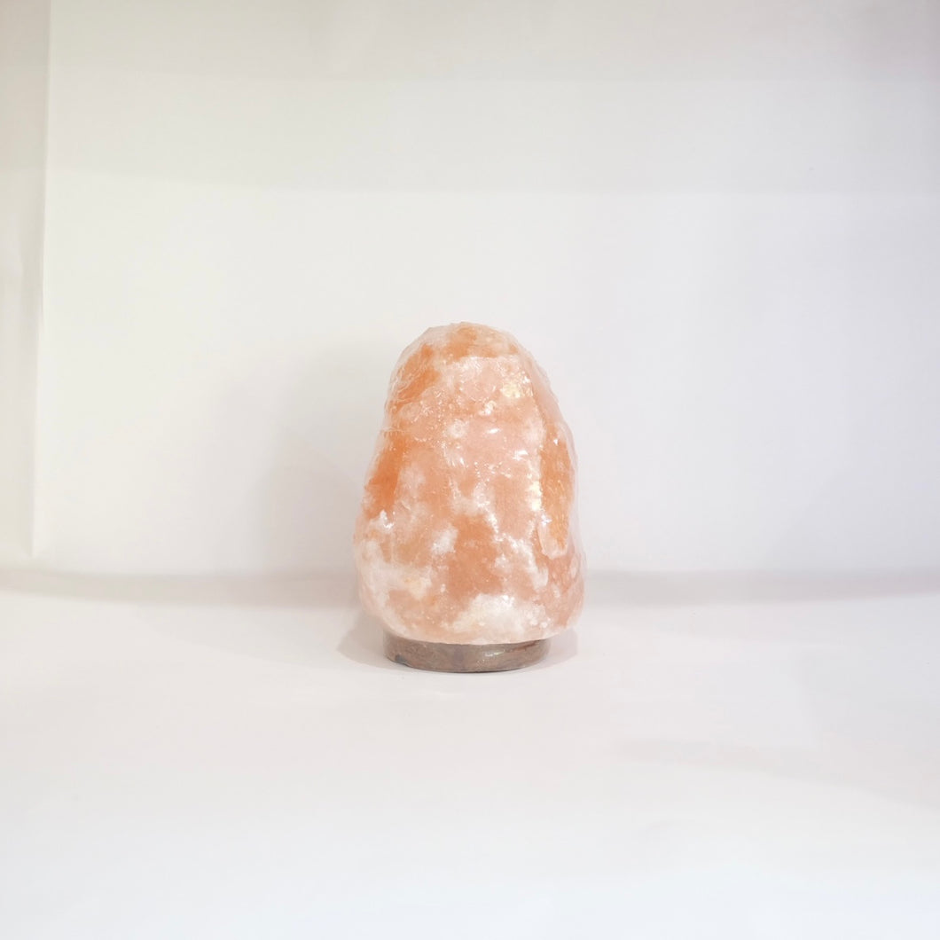 Earth Saltz Himalayan Salt Lamp