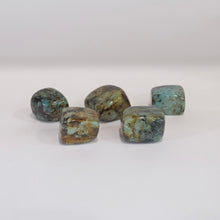 Load image into Gallery viewer, African Turquoise
