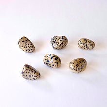 Load image into Gallery viewer, Dalmatian Jasper Stone - Tumbled
